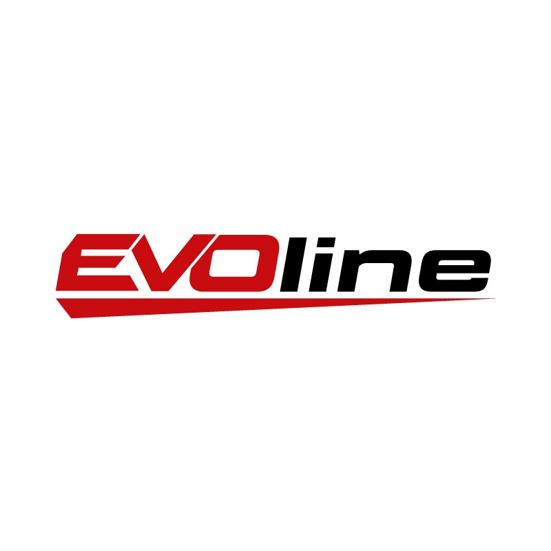 Двигатель бензиновый EVOline GB 620 E-2 фото 1